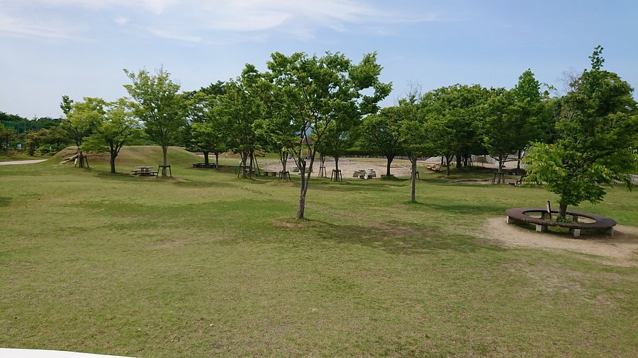 🌳 사누키 공항 공원(사누키 쿠코 코엔) 이미지 4